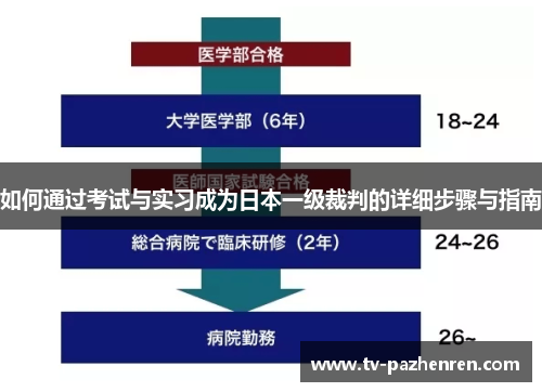 如何通过考试与实习成为日本一级裁判的详细步骤与指南